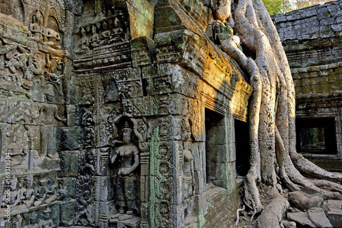 Cambodia Angkor Thom Ta Phrom 