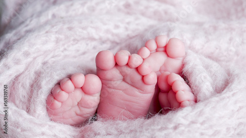pink heels two babies in a pink coil