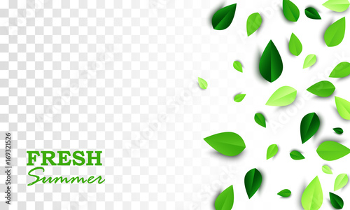 Fresh Summer creative banner with scattered green 3d leaves on white transparent background. Vector illustration. All isolated and layered