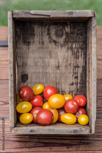 Valokuva Wood crate of homegrown colorful tomato medley