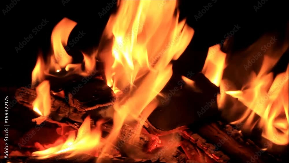fire wood burning in fireplace, energy
fire wood burning in fireplace, energy