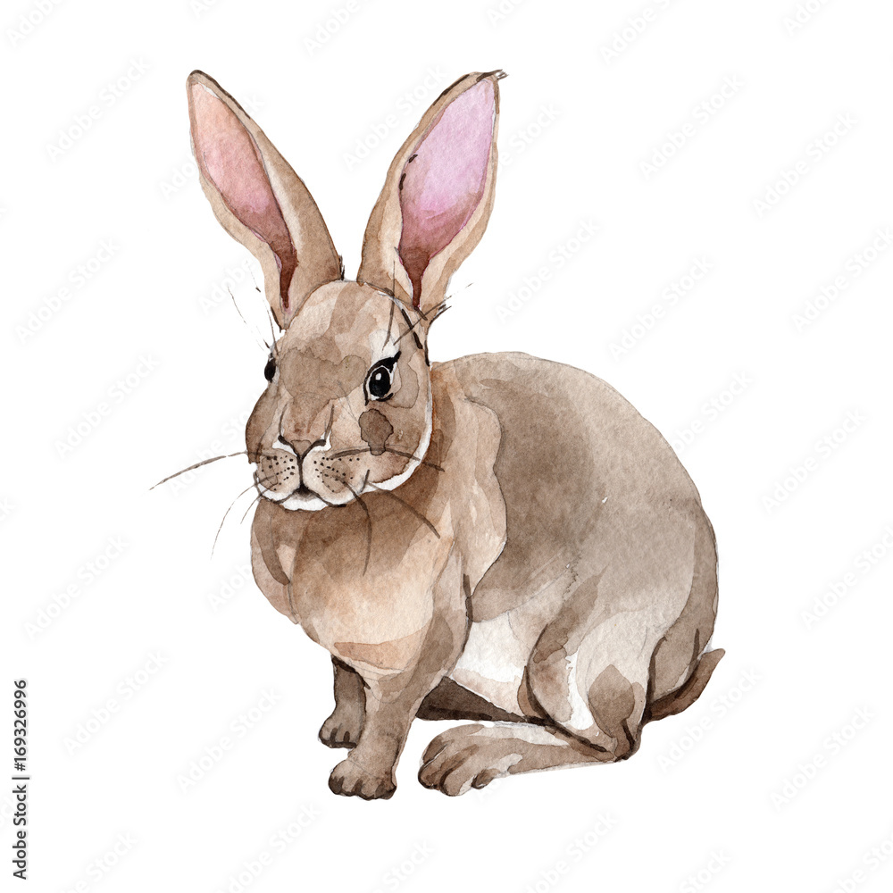 Rabbit wild animal in a watercolor style isolated. Full name of the animal:  rabbit. Aquarelle wild animal for background, texture, wrapper pattern or  tattoo. Stock Illustration | Adobe Stock