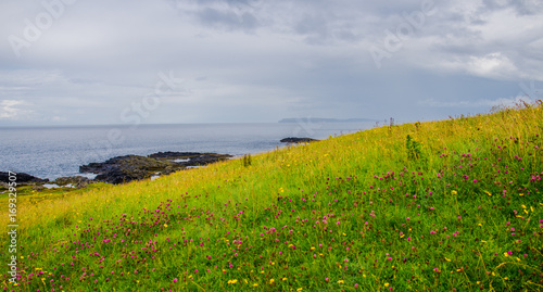 Landscape of Northern Ireland. Relaxing vacation on an island. Panoramic view of the ocean.