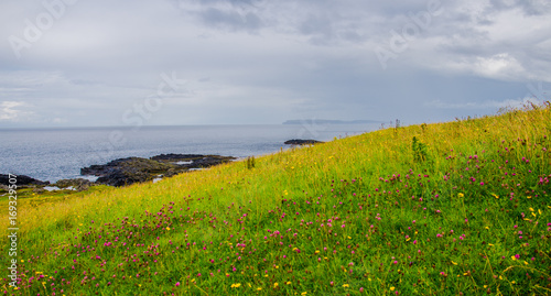Landscape of Northern Irela...