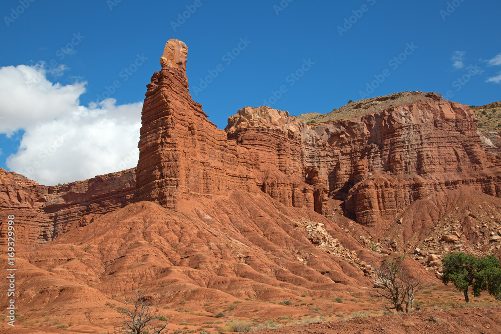 Fototapeta premium Capitol Reef