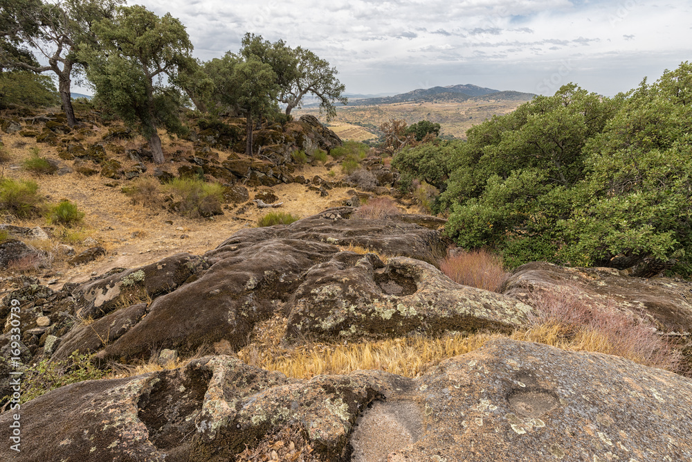 Landscape in the natural area of Valcorchero, near Plasencia. Extremadura. Spain.