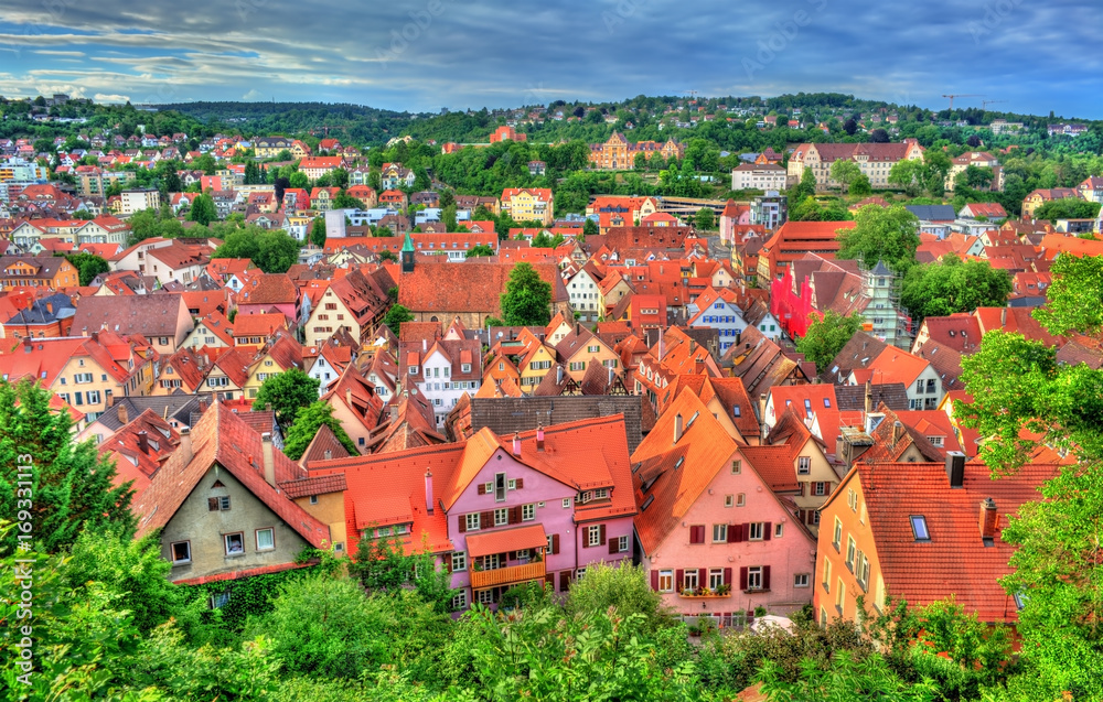 Panorama of the historical center of Tubingen, Baden Wurttemberg, Germany