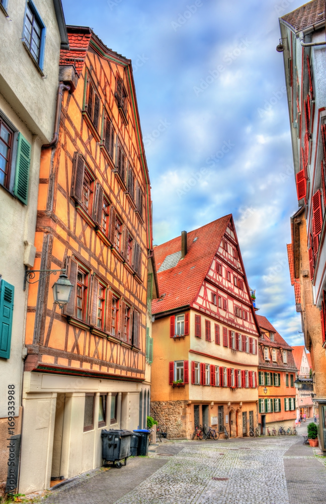 Typical houses in Tubingen - Baden Wurttemberg, Germany