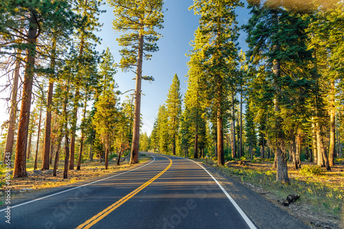 Beautiful road between the forest during sunset. at Yosemite National Park California. photo