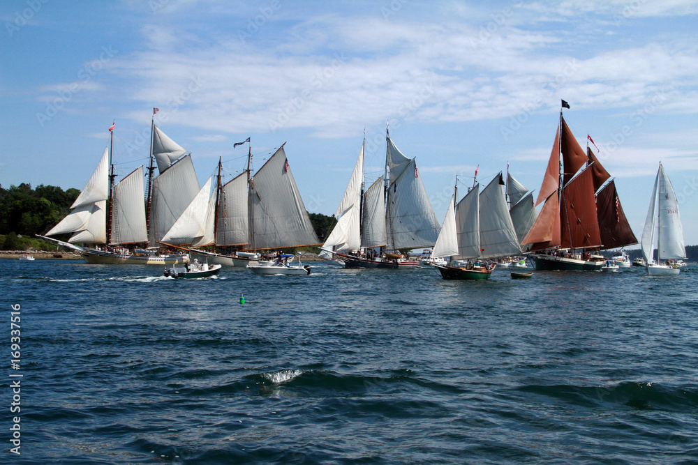 Fototapeta premium Windjammer Parade, Somes Sound,CAcadia 2016