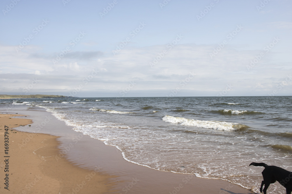 View of Coastline along Beach