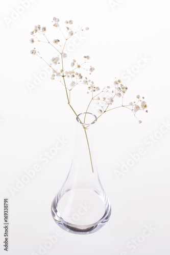 Transparent vase with a dry flower. The background is white.