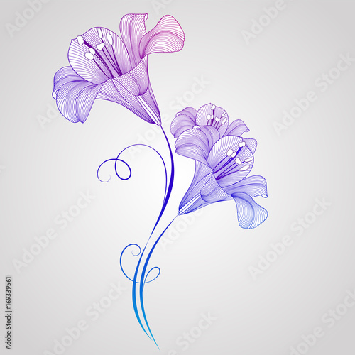 Fototapeta Naklejka Na Ścianę i Meble -  Hand-drawing floral background with flowers lily. Element for design. Vector illustration.