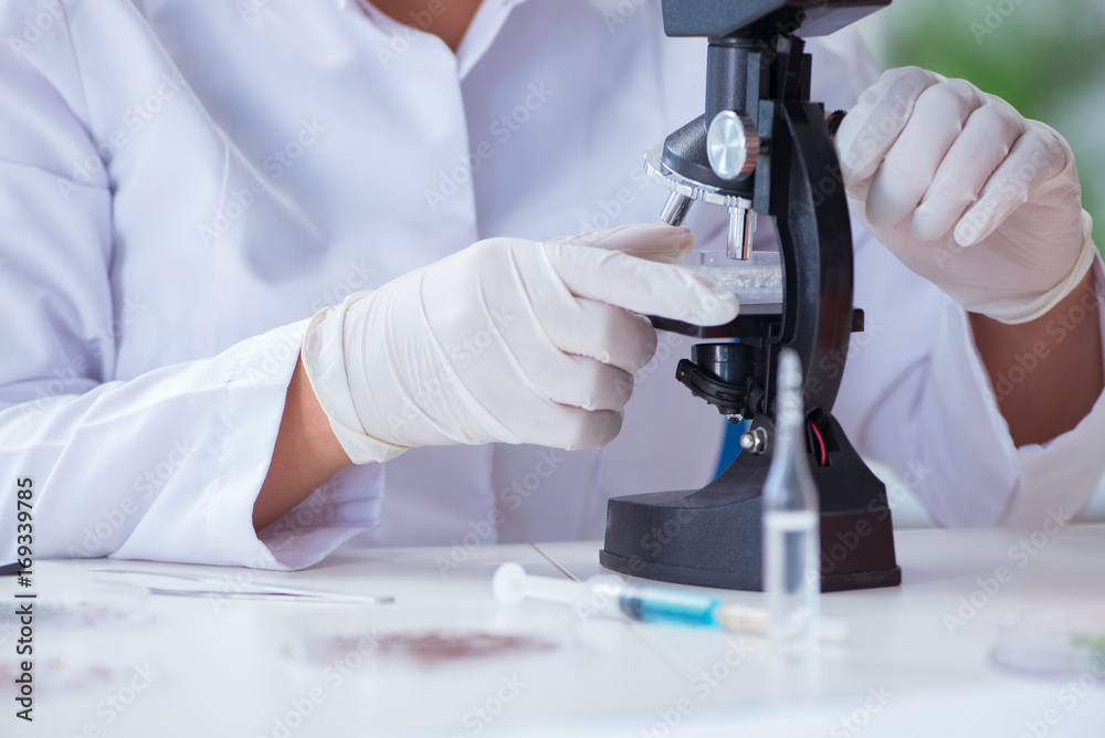 Female scientist researcher conducting an experiment in a labora Female scientist researcher conducting an experiment in a labora