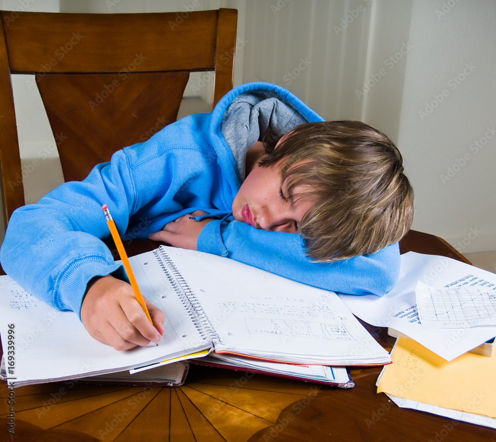 Teenage boy falls asleep while doing homework. Teenage boy falls asleep while doing homework.