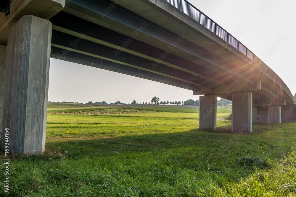 Schafherde hinter der Brücke Schafherde hinter der Brücke