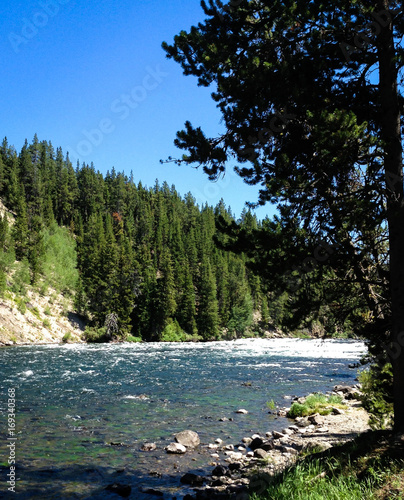 The Yellowstone River, located in Wyoming, offers a beautiful forest filled sunny peace.