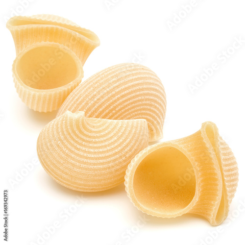 Italian lumaconi isolated on white background. Lumache, snailshell shaped pasta. photo