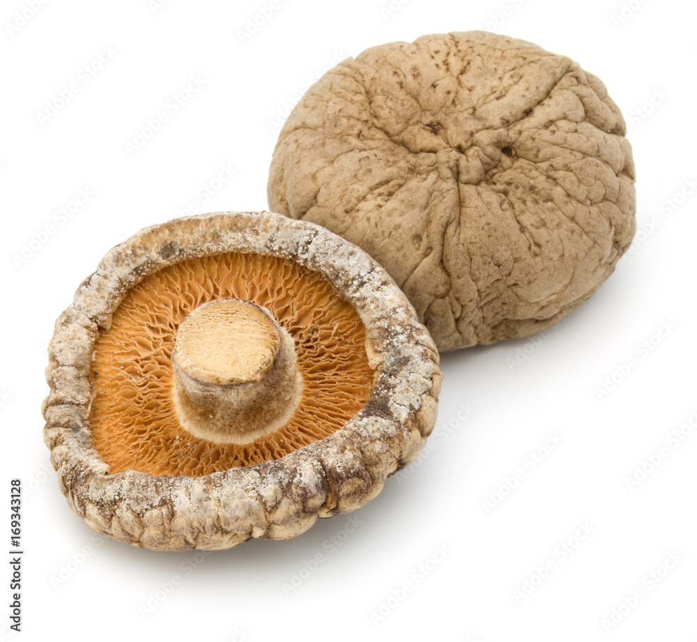 Dried Shiitake Mushroom isolated on white background Dried Shiitake Mushroom isolated on white background