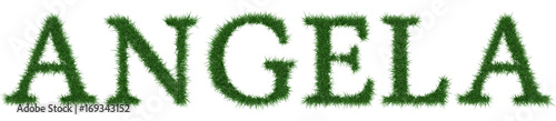 Angela - 3D rendering fresh Grass letters isolated on whhite background.