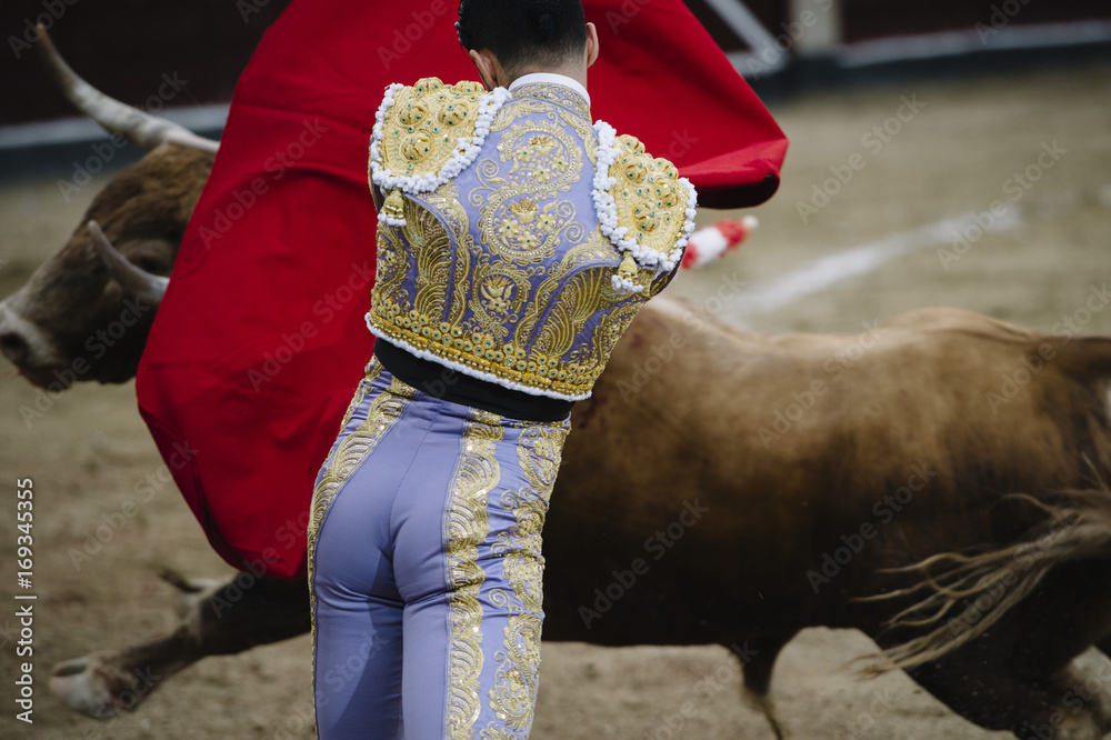 Fototapeta premium Bullfighter in a bullring.