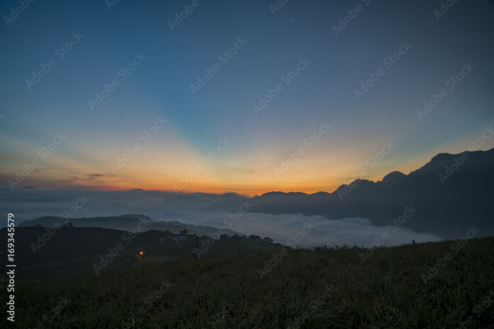 Sunrise with oblique light of the famous and beautiful Daylily flower at sixty Stone Mountain
