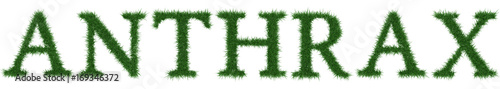 Anthrax - 3D rendering fresh Grass letters isolated on whhite background.