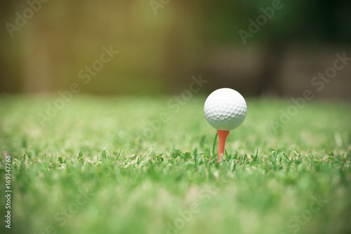 Golf ball on tee ready to be shot.Golf ball in green grass golf club yard background