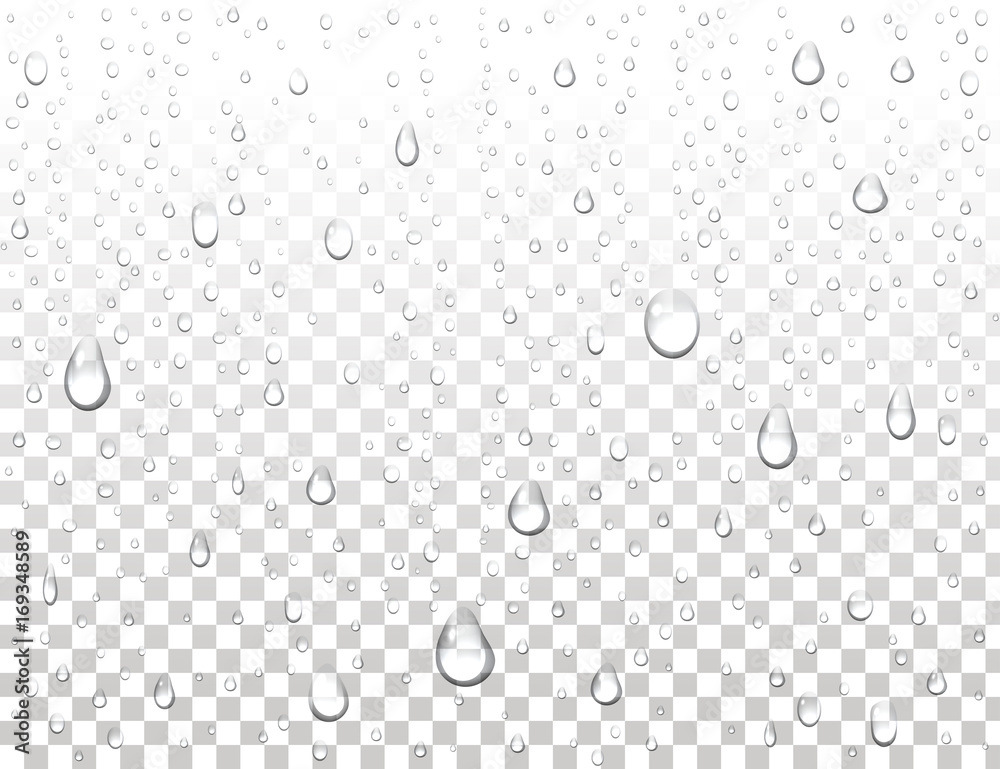 Realistic pure water drops on isolated background. Clean water drop  condensation. Steam shower condensation on vertical surface. Vector  illustration. vector de Stock | Adobe Stock