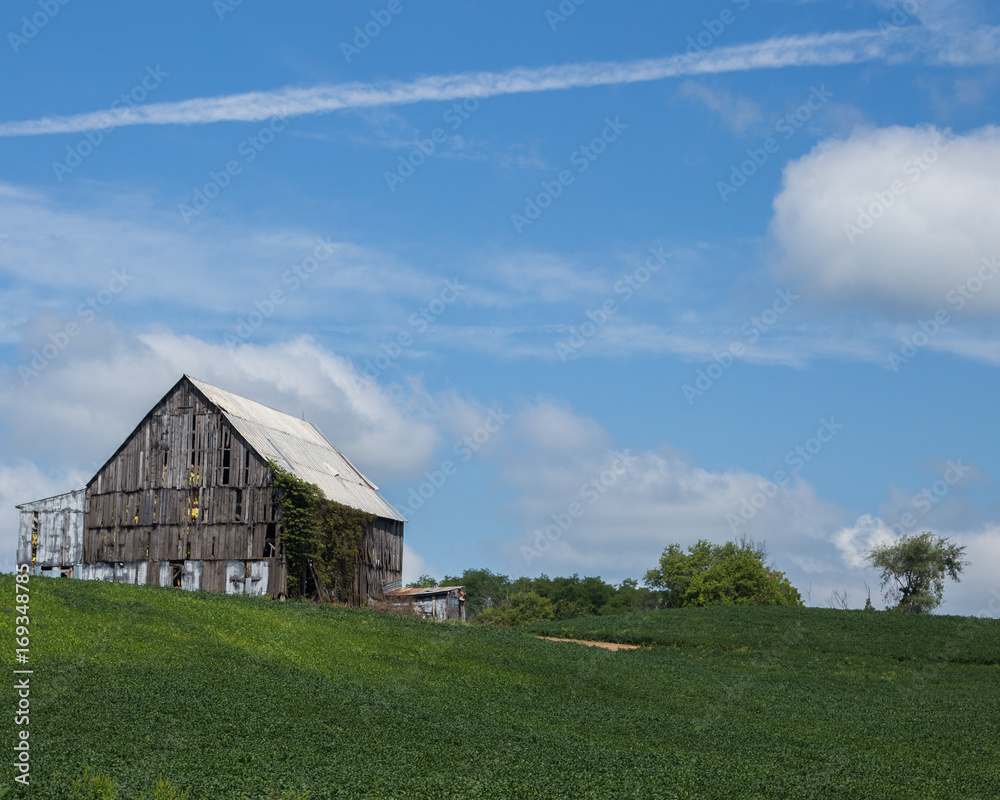 Obraz premium Old barn next to a field