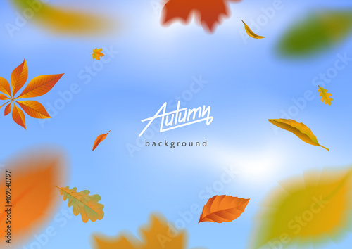 Falling autumn leaves on blue sky background. Motion blur effect. Flying autumnal foliage around the text. Applicable for banner, poster,flyer, advertising. Vector eps 10.