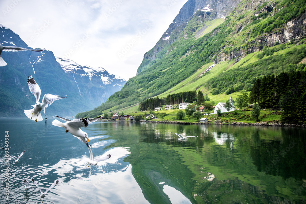 Bird Flying over Fjord