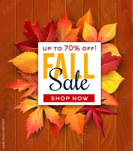 Autumn sale foliage leaf vector poster web banner
