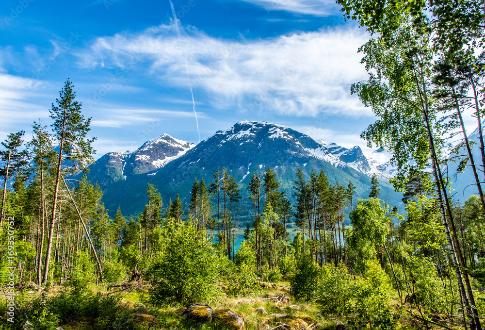 Mountain and fjord