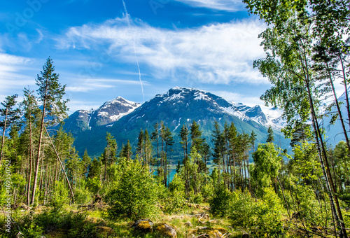 Mountain and fjord