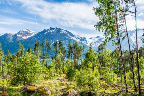 Obraz na płótnie Norway Natural Beauty w salonie