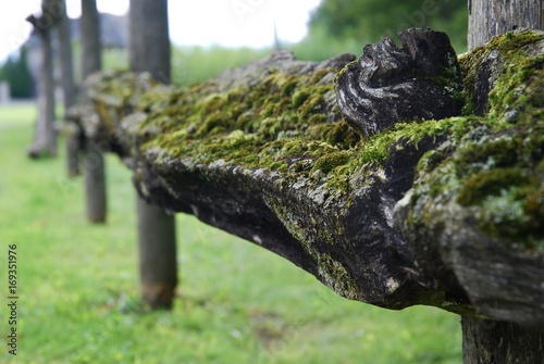 Mossy split rail wooden fence in summer