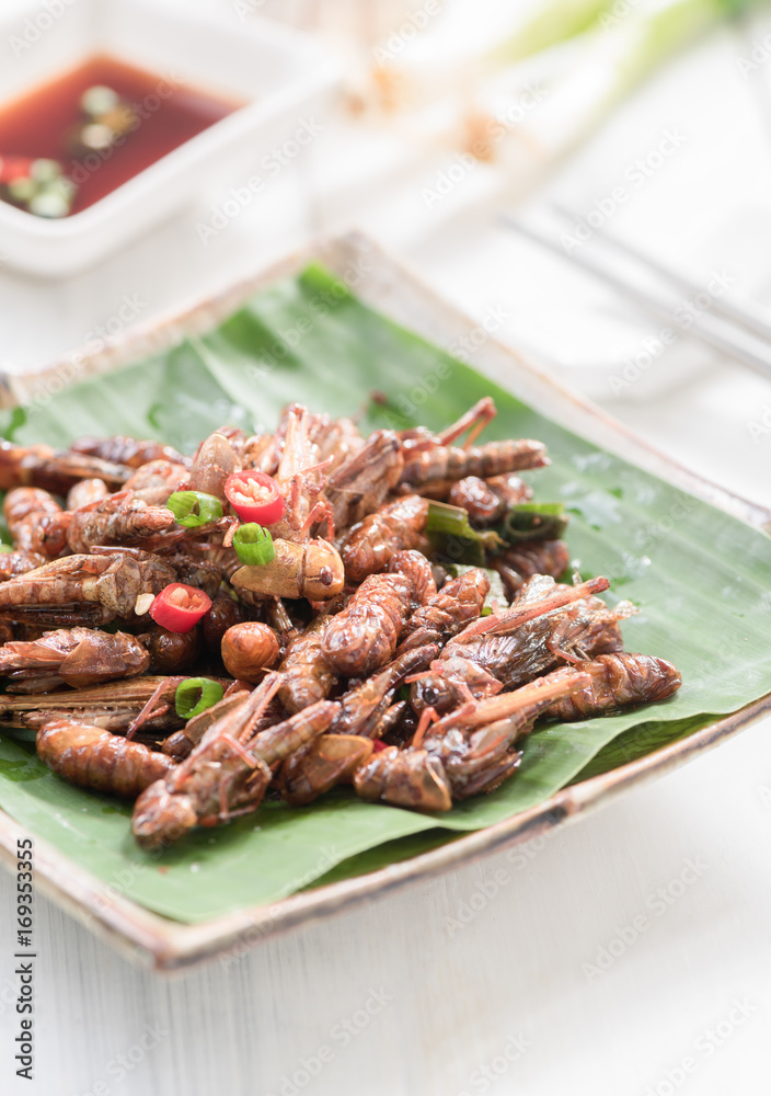 Fried grasshoppers and fried worm.or fried silkworms Fried grasshoppers and fried worm.or fried silkworms