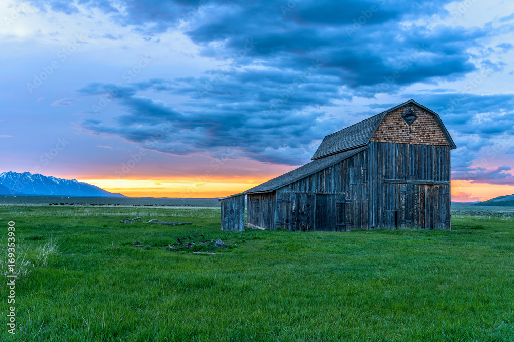 Sunset at Old Ranch - Spring sunset at an abandoned old ranch in Mormon Row historic district at base of Teton Range, with a herd of wild bison roaming in the background, in Grand Teton National Park.
