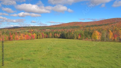 AERIAL: Flying above the stunning colorful treetops with turning leaves on sunny day. Beautiful autumn trees in yellow, orange and red forest on sunny autumn day. Fall foliage in autumn forest photo