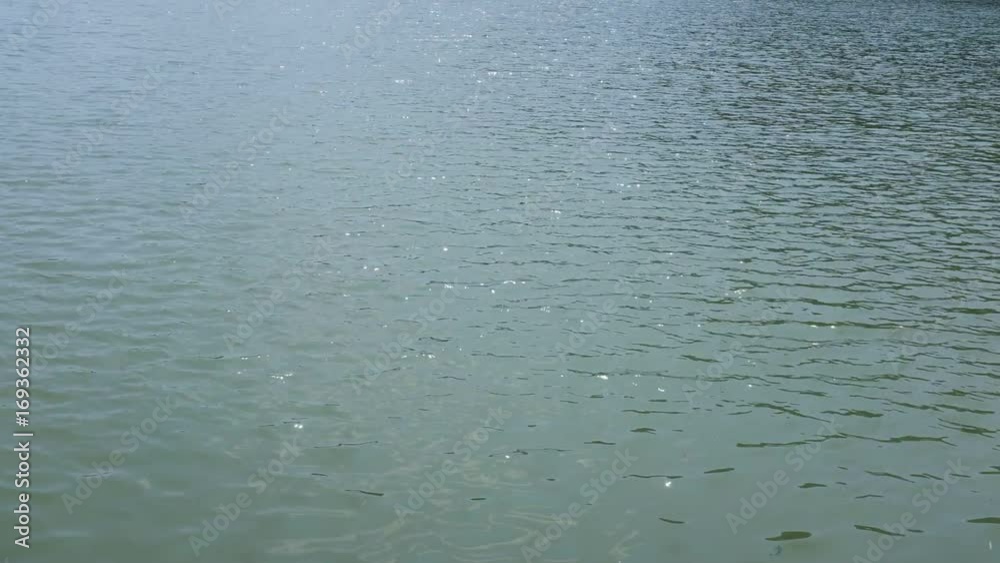 Calm wave waters, lake Calm wave waters, lake