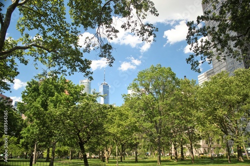 Park filled with trees and city buildings in the background