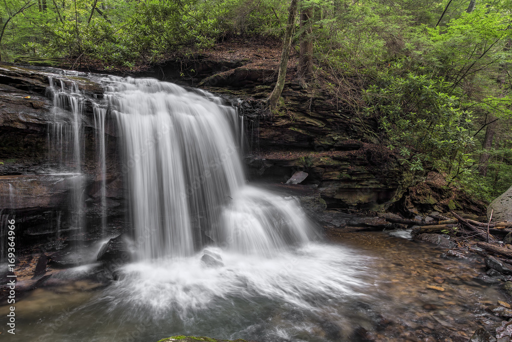 Lower Waterfall on Jonathan Run - Ohiopyle State Park, Pennsylvania