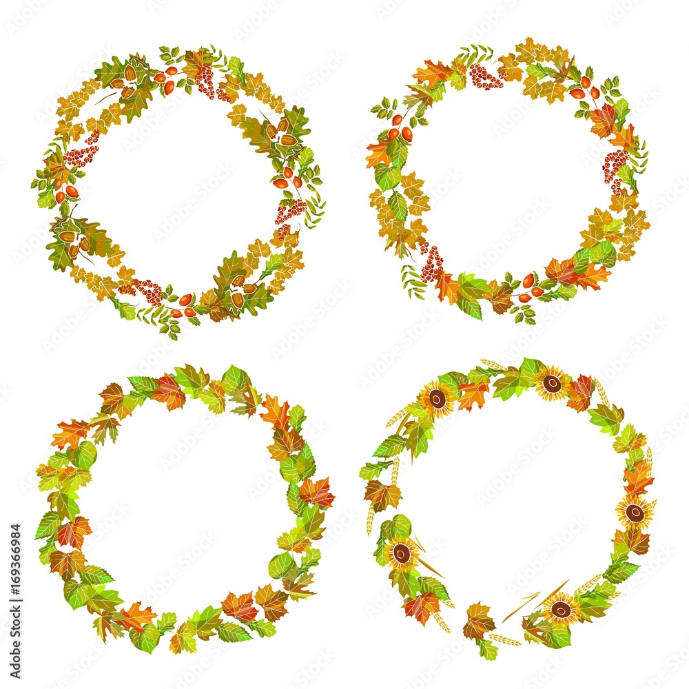Leaves and autumn plants gathered in neat wreaths