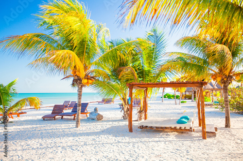 Exotic tropical empty sandy beach with umbrellas and beach beds surrounded by palm trees