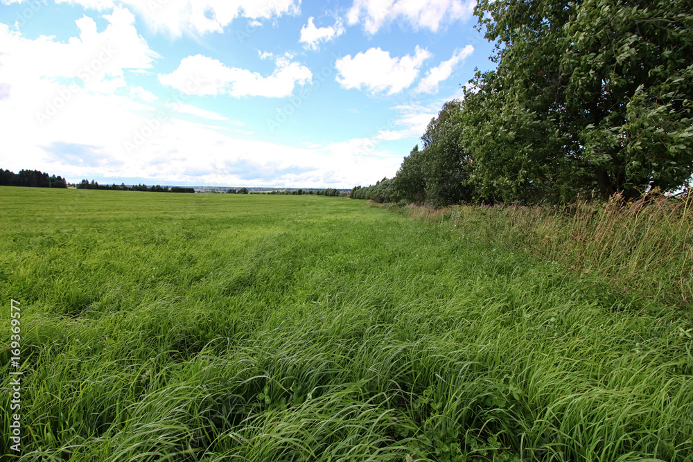 lanscape meadow sky cloud