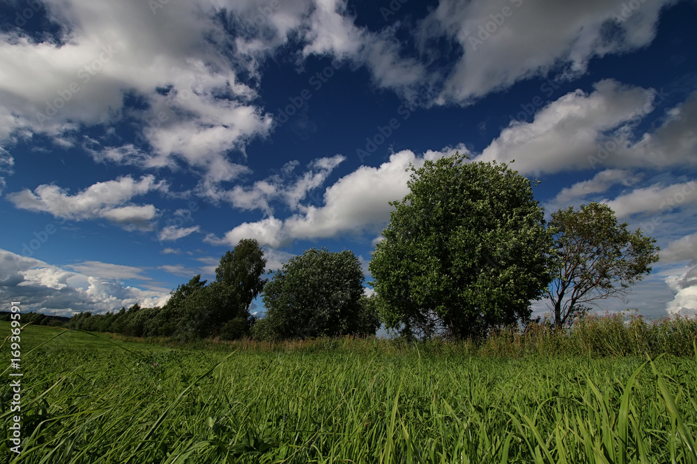 lanscape meadow sky cloud