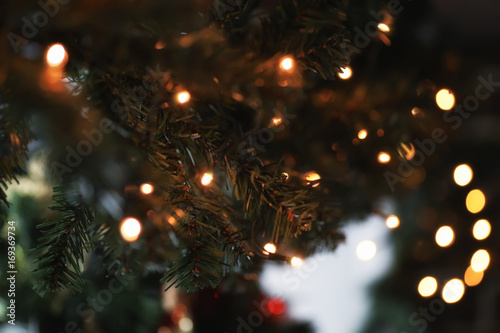 garland lights on fir tree branch blured background