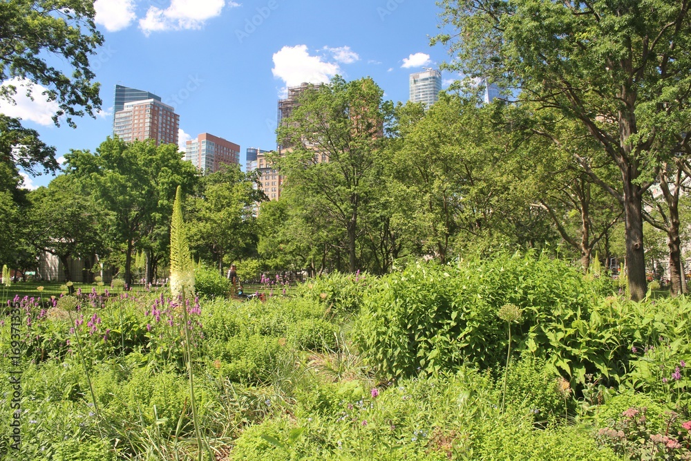 Trees, plants, and flowers in a park with a city skyline in the background
