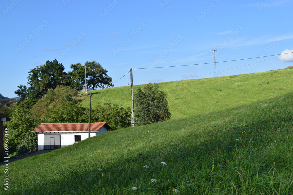 Paisajes y prados verdes con casas.